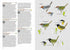 Birds of the Philippines - Desmond Allen 2020 Flexi